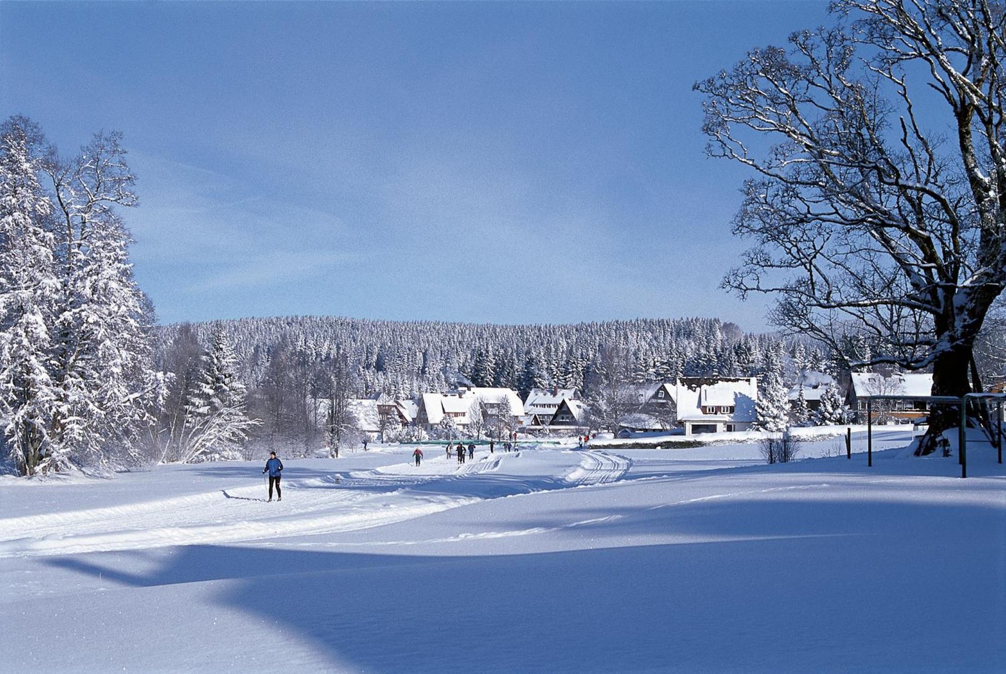 Drei Tannen - Wohnung 09 - Apartmenthaus, Titisee, Feldberg Екстер'єр фото