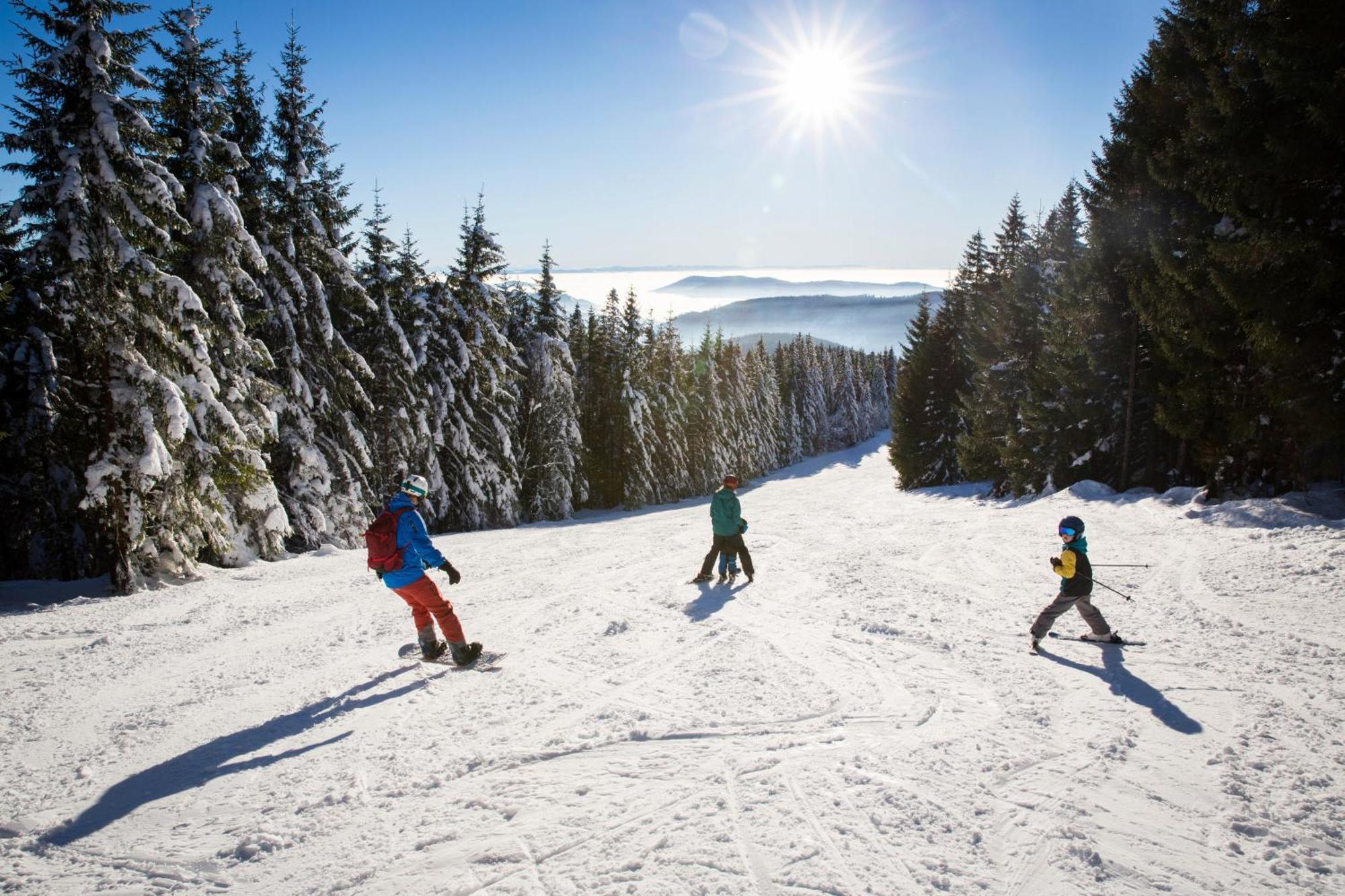 Drei Tannen - Wohnung 09 - Apartmenthaus, Titisee, Feldberg Екстер'єр фото