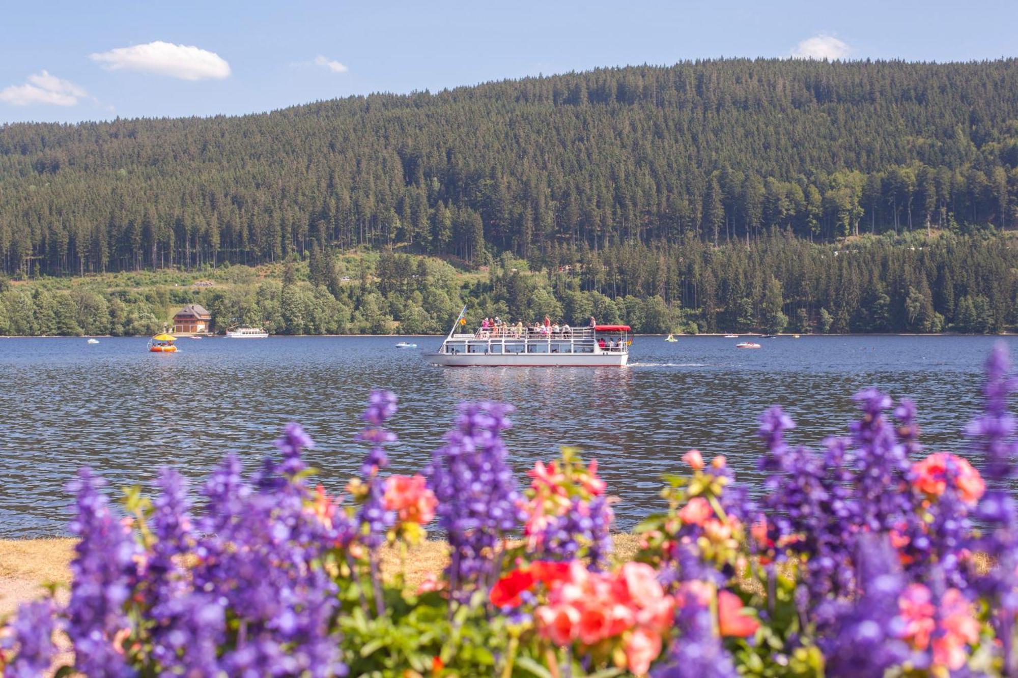 Drei Tannen - Wohnung 09 - Apartmenthaus, Titisee, Feldberg Екстер'єр фото