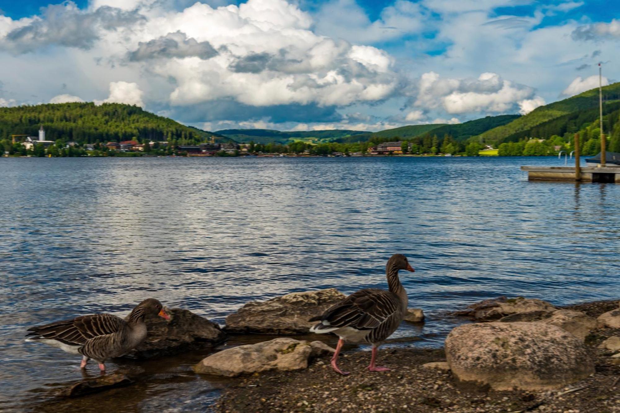 Drei Tannen - Wohnung 09 - Apartmenthaus, Titisee, Feldberg Екстер'єр фото